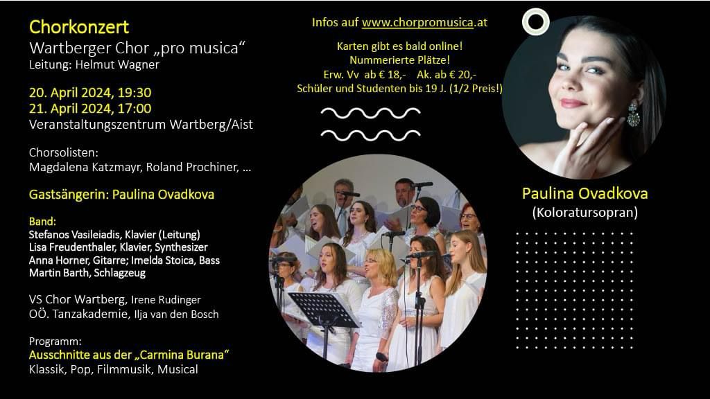 pro musica poster
